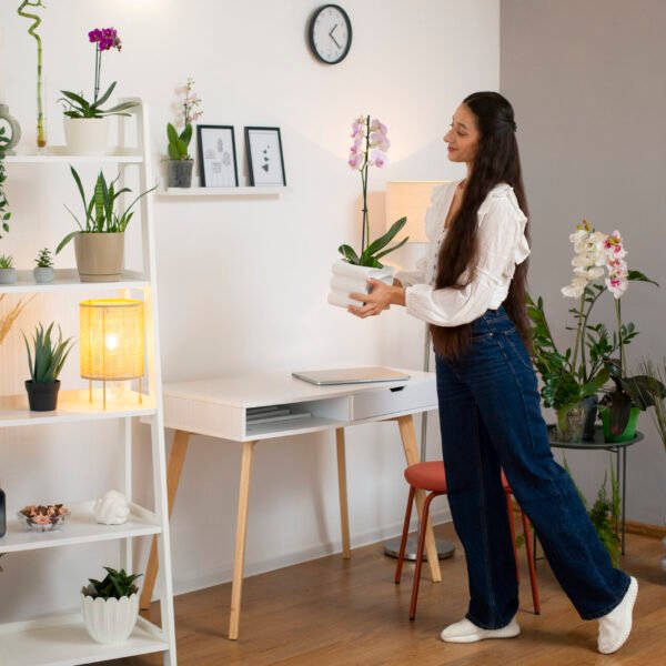 Best Space-Saving Interior